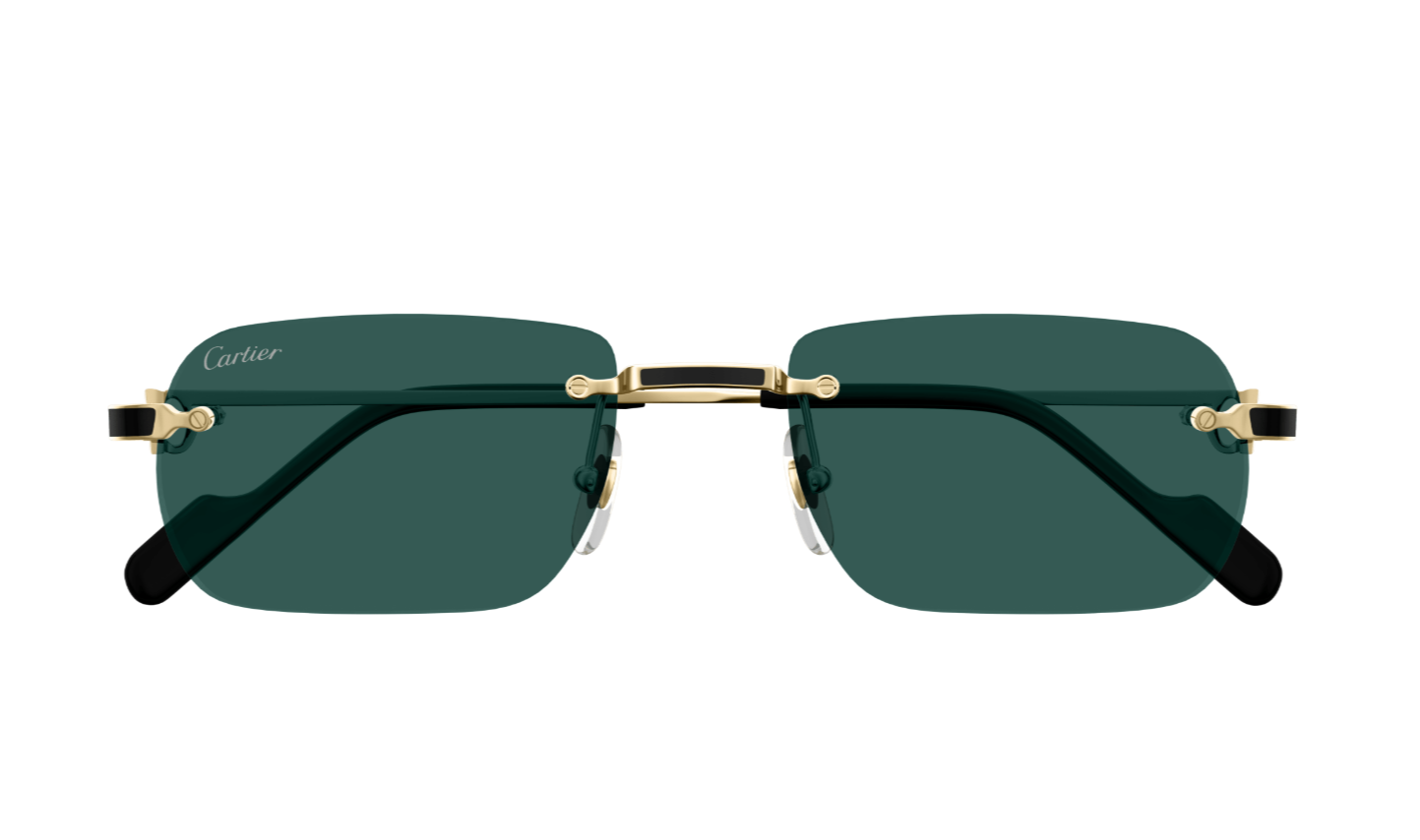 Cartier Sunglasses CT0498S-003