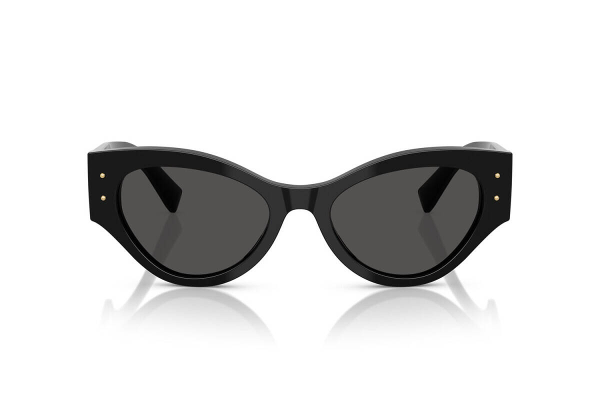 Dolce & Gabbana Sunglasses DG4480-501/87