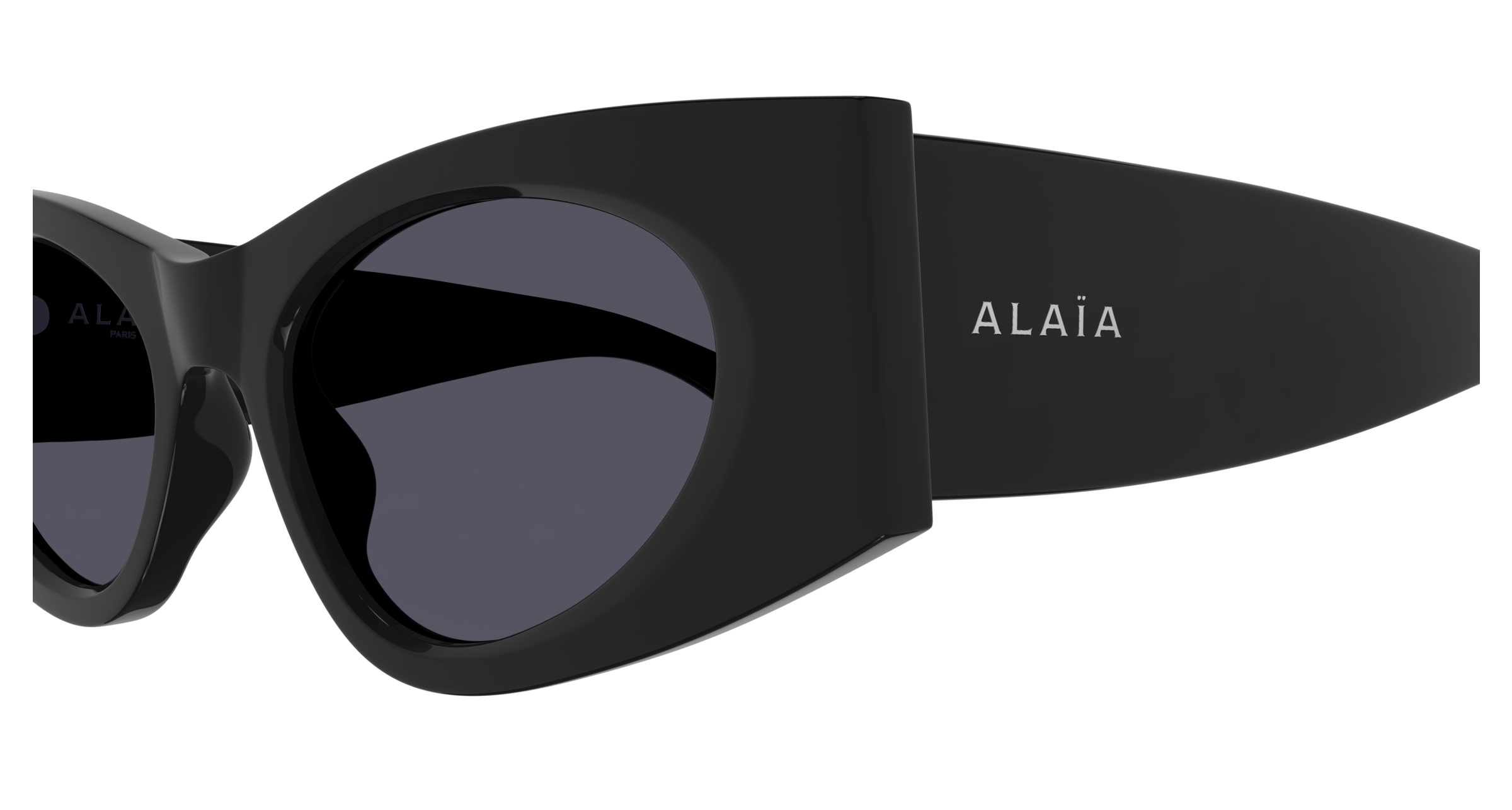 Alaia Sunglasses AA0075S-001