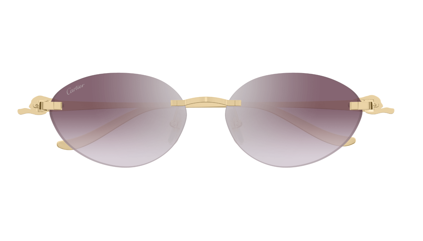 Cartier Sunglasses CT0504S-004