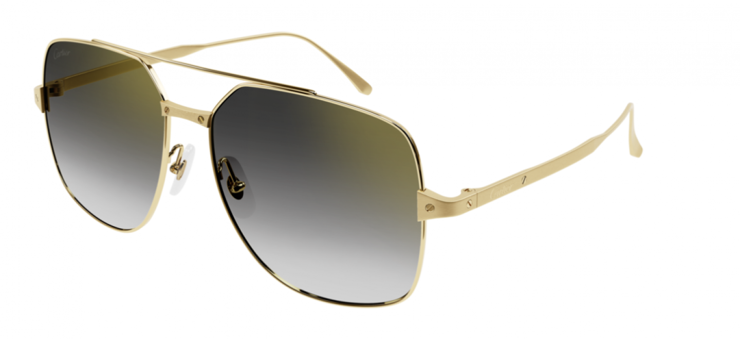 CARTIER Sunglasses CT0329S-001 | Sunglasses