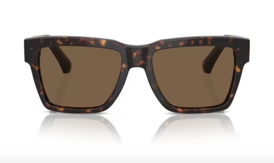 Dolce & Gabbana Sunglasses DG4465-502/73