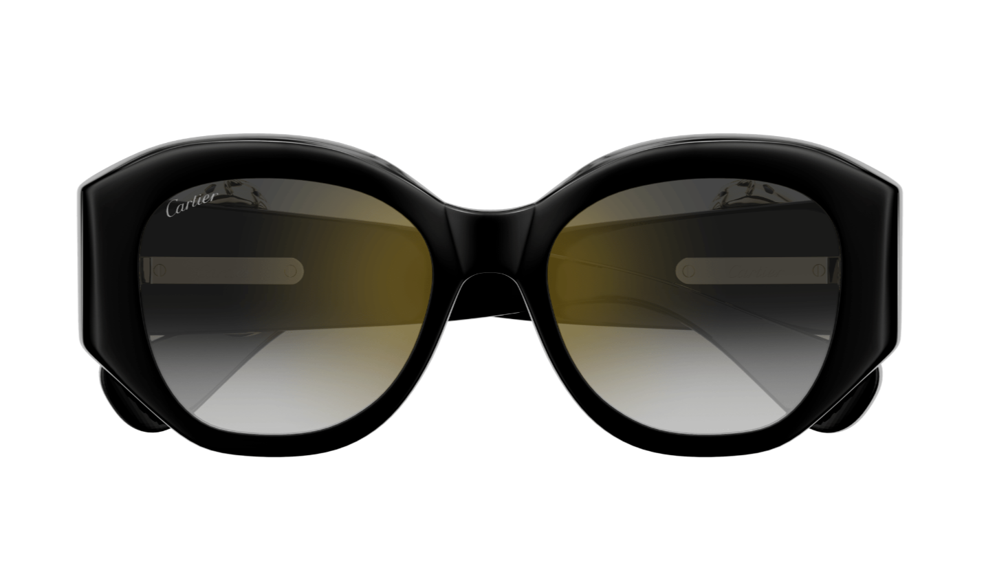 Cartier Sunglasses CT0502S-001