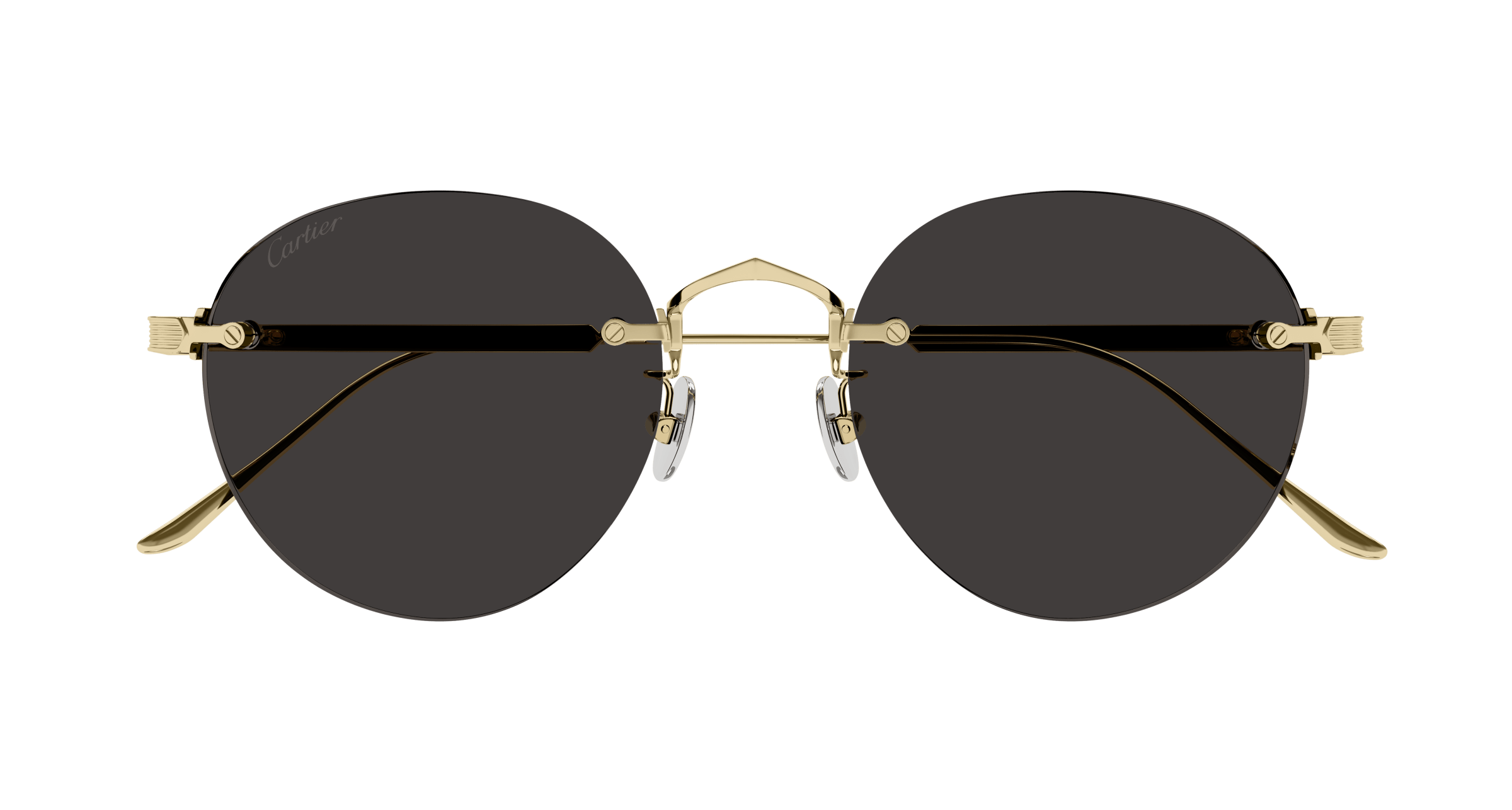 Cartier Sunglasses CT0393S-002 | Sunglasses