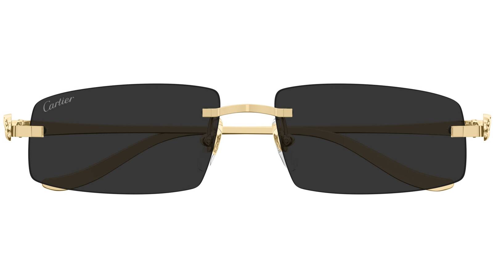 Cartier Sunglasses CT0505S-001