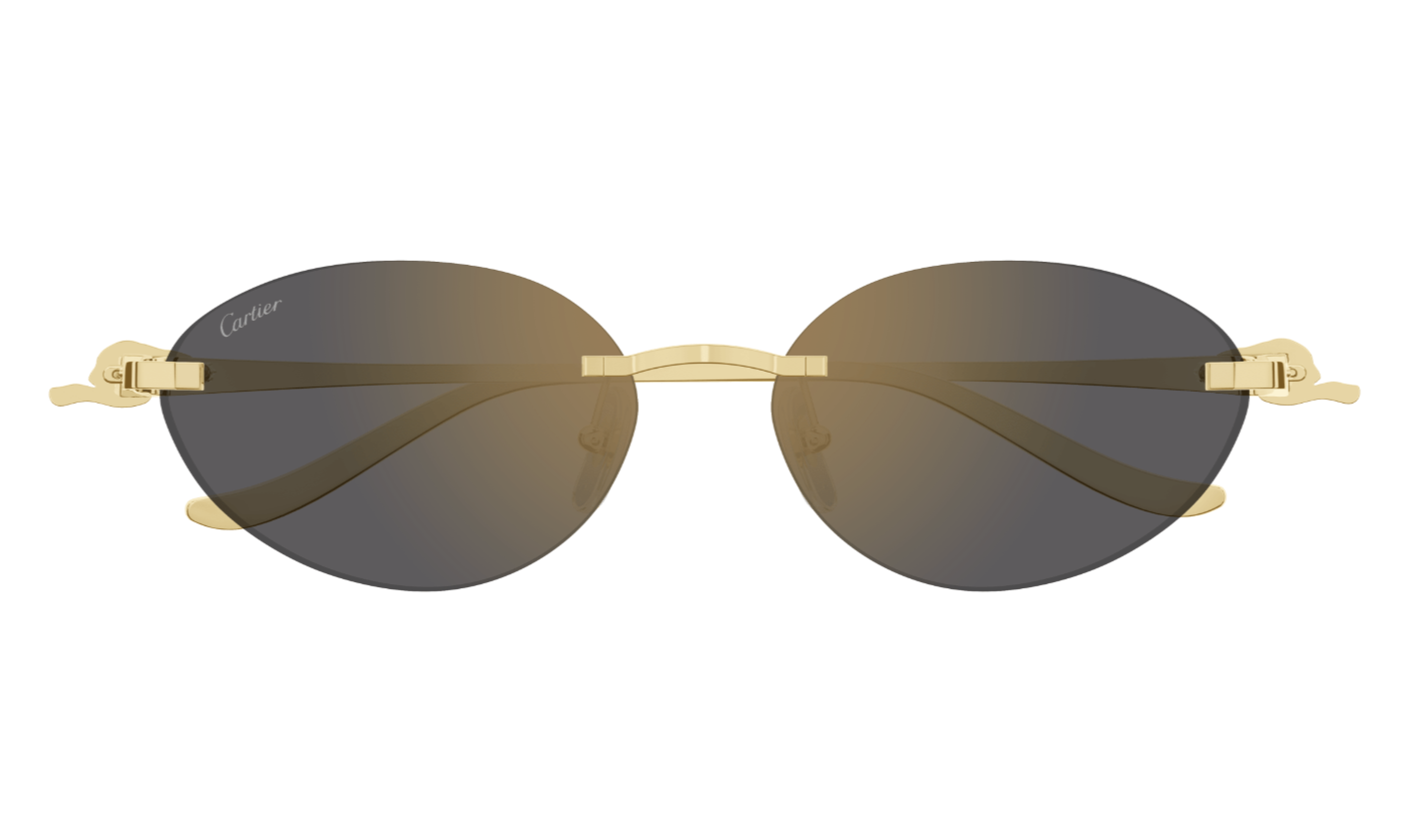 Cartier Sunglasses CT0504S-001