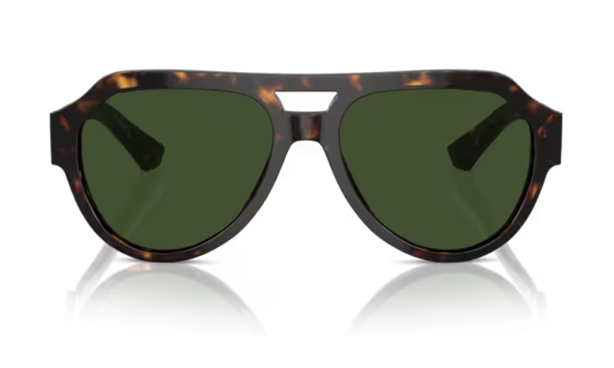 Dolce & Gabbana Sunglasses DG4466-502/71