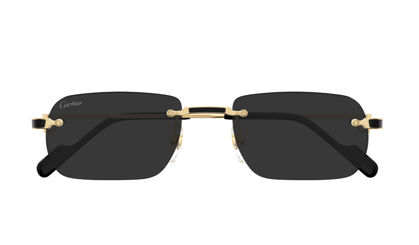 Cartier Sunglasses CT0498S-001