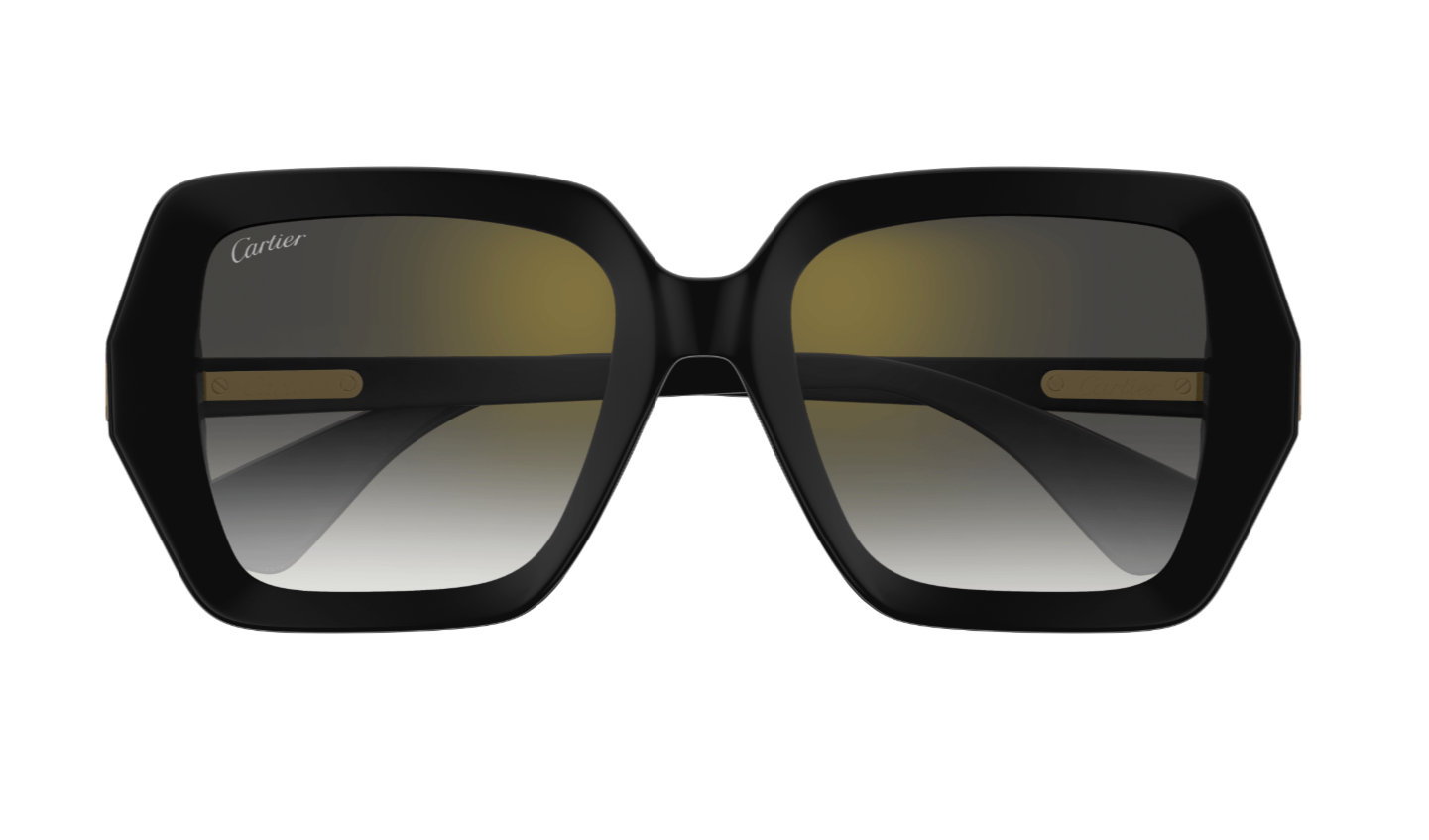 Cartier Sunglasses CT0507S-001