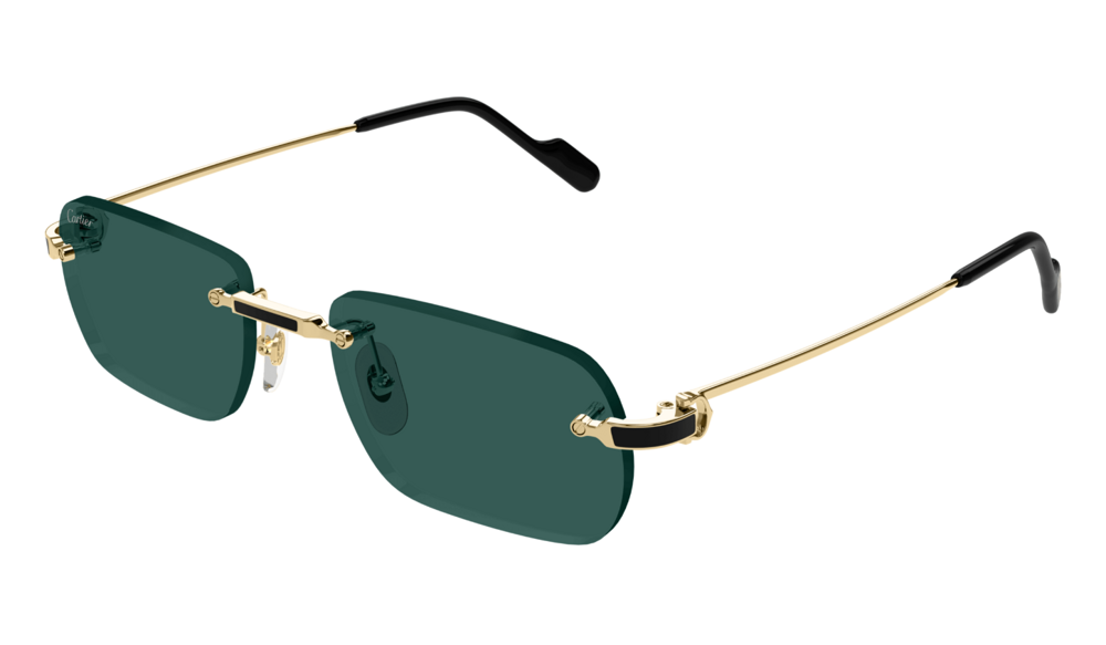 Cartier Sunglasses CT0498S-003 