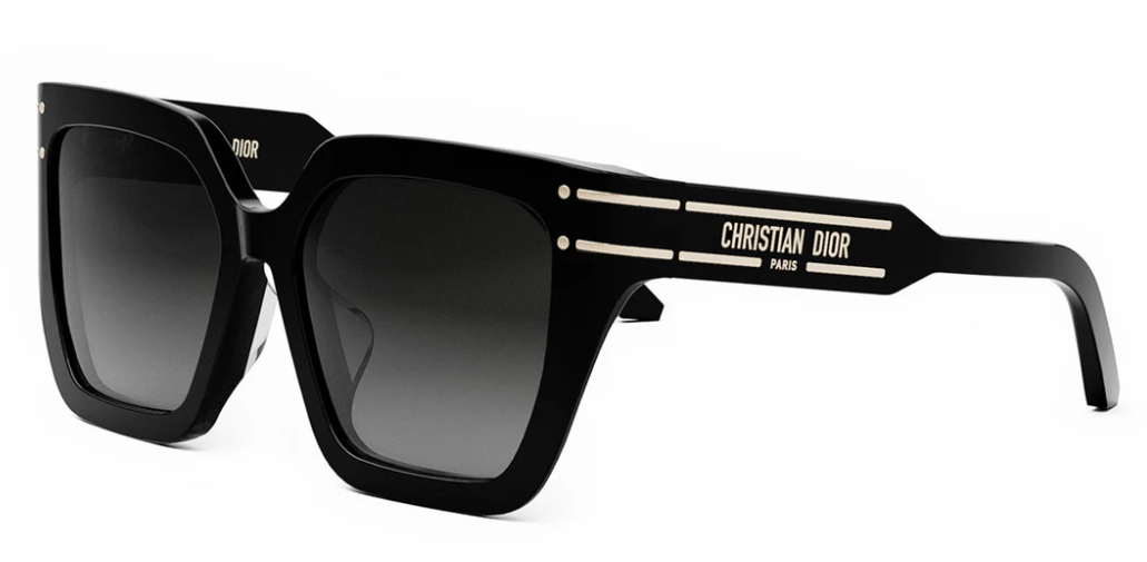 Dior Sunglasses DIORSIGNATURE (S10F_10A1) CD40131F-01B