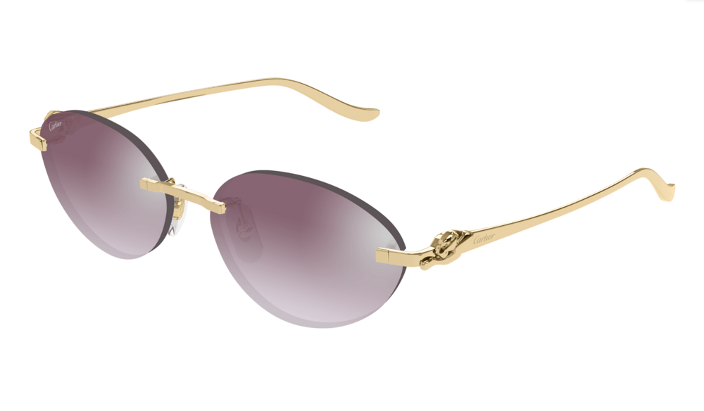 Cartier Sunglasses CT0504S-004 