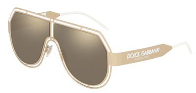 Dolce & Gabbana Sunglasses DG2231-13315A