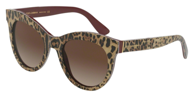 Dolce & Gabbana Sunglasses DG4311-316113