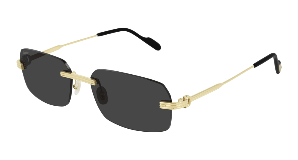 Cartier Sunglasses CT0271S-001