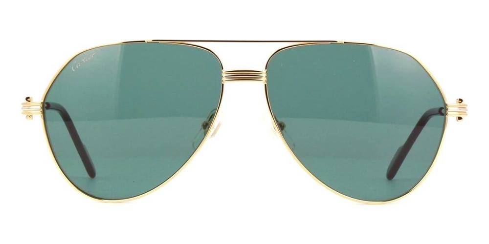 CARTIER Sunglasses CT0303S 004 Sunglasses