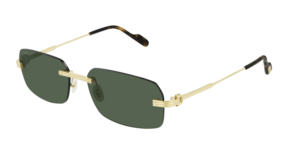 Cartier Sunglasses CT0271S-002