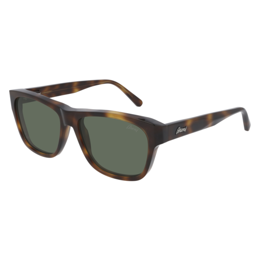 Brioni Sunglasses BR0081S-002