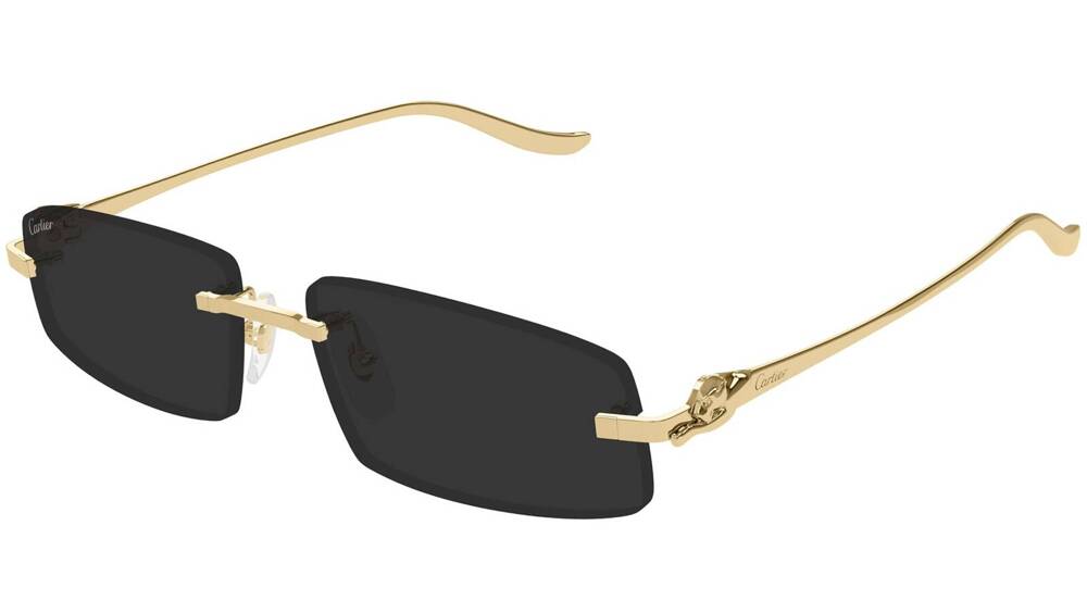 Cartier Okulary przeciwsłoneczne CT0505S-001 