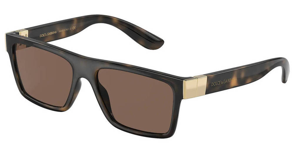 Dolce & Gabbana Sunglasses DG6164-502/73