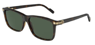 Cartier Sunglasses CT0160S-002