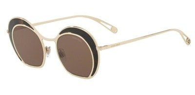 Giorgio Armani Sunglasses AR6073-321573