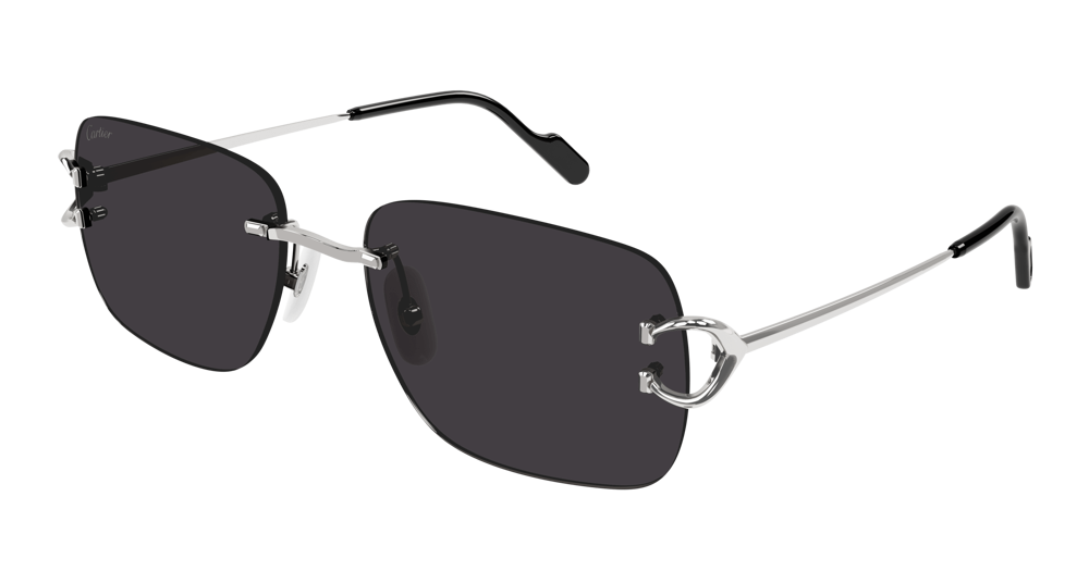 CARTIER Sunglasses CT0330S-004