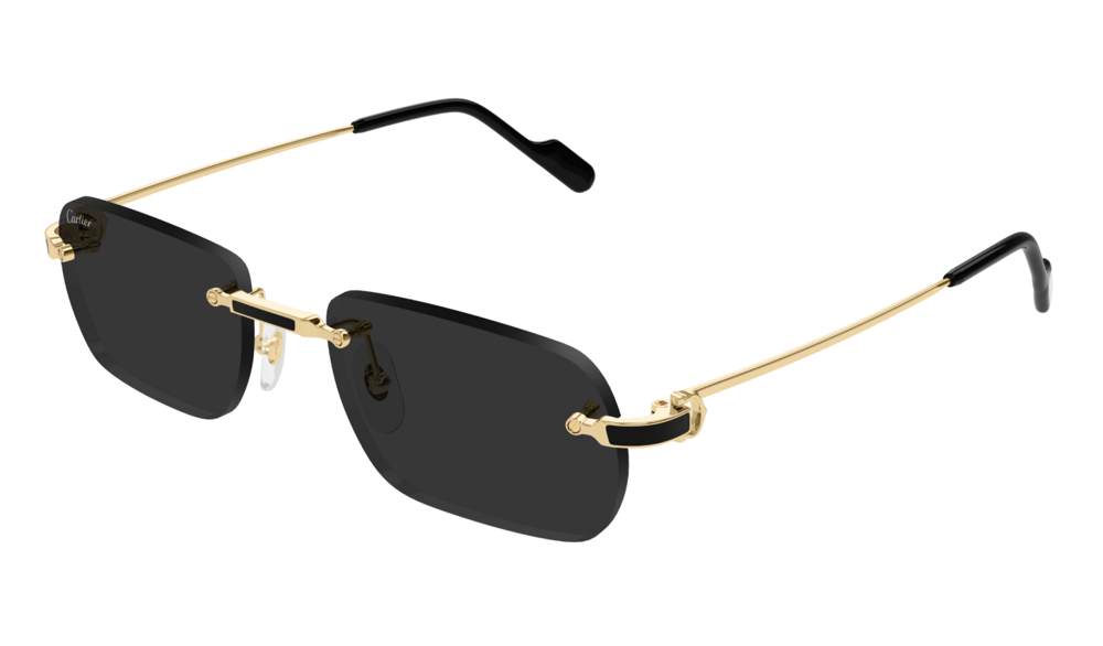 Cartier Sunglasses CT0498S-001 