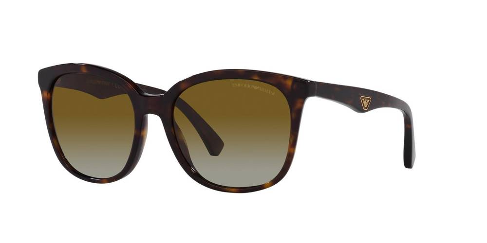 Emporio Armani Sunglasses EA4157-5234T5