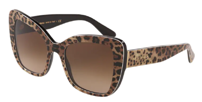 Dolce & Gabbana Sunglasses DG4348-316313