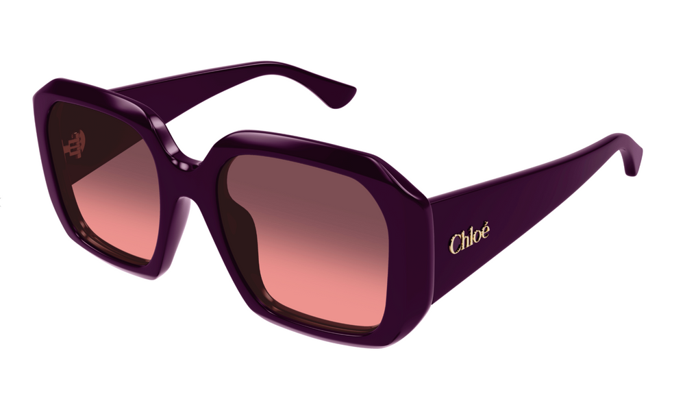 Chloe Sunglasses CH0300S-004