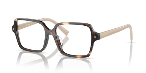 Prada Optical frame PR A02V-07R1O1