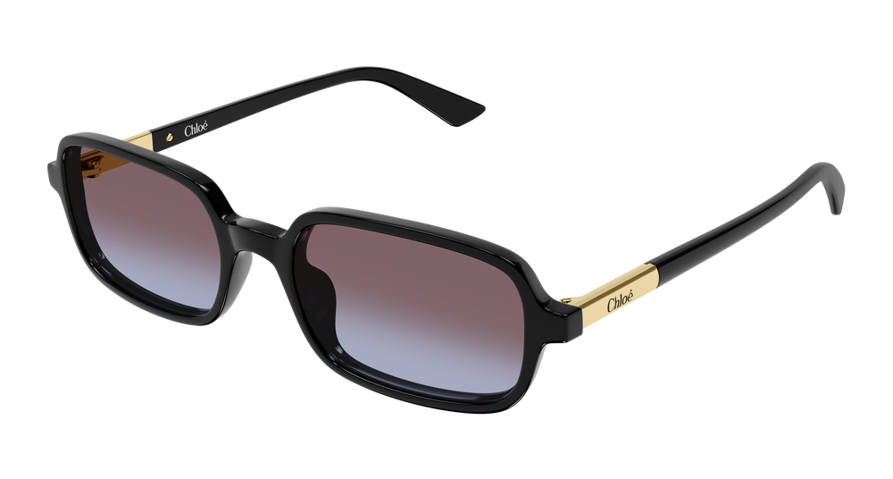 Chloe Sunglasses CH0363S-001 