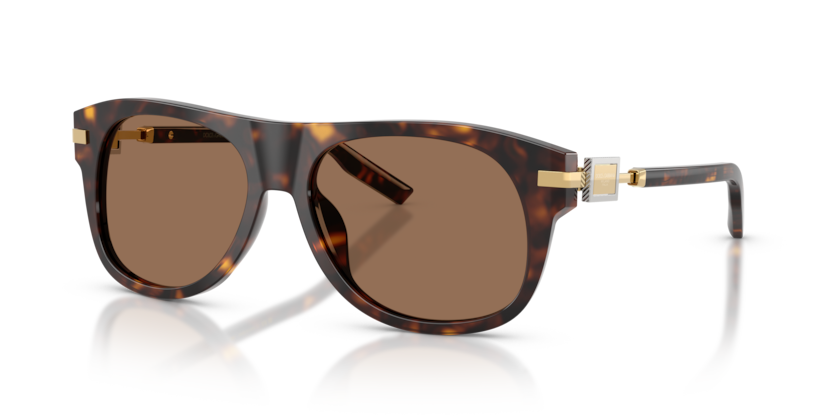 Dolce & Gabbana Sunglasses DG4546-502/73