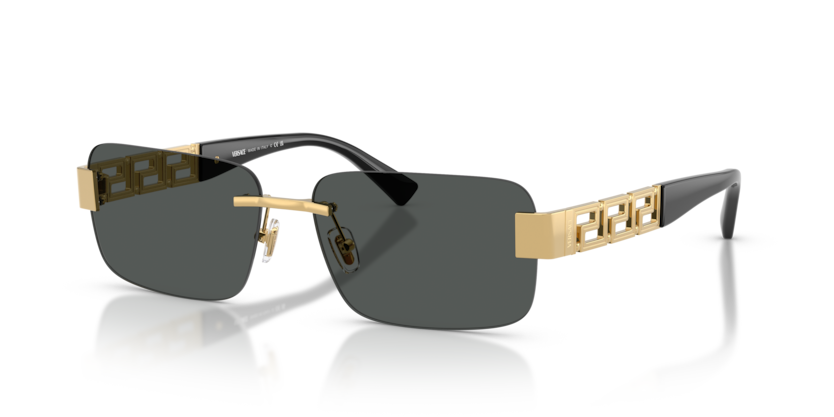 Versace Sunglasses VE2298-100287