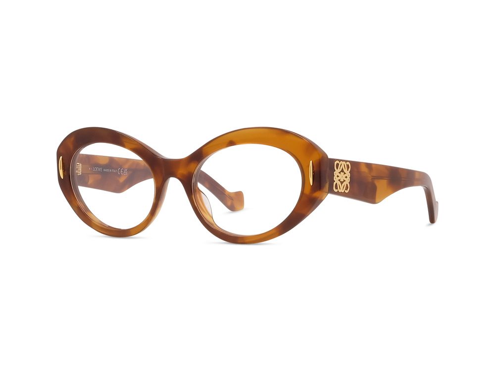 Loewe Sunglasses LW500901-053