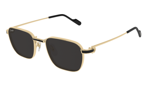 Cartier Sunglasses CT0497S-006