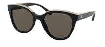 Chanel Sunglasses CH5414-C534/3