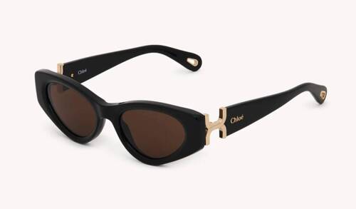 Chloe Sunglasses CH0259S-001