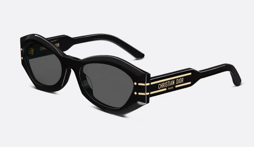 Dior Sunglasses DIORSIGNATURE B1U 10A0 CD40058U-01A
