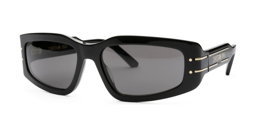 Dior Sunglasses DIORSIGNATURE (S9U_10A0) CD40134I-01A