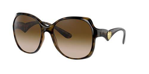 Dolce & Gabbana Sunglasses DG6154-502/13