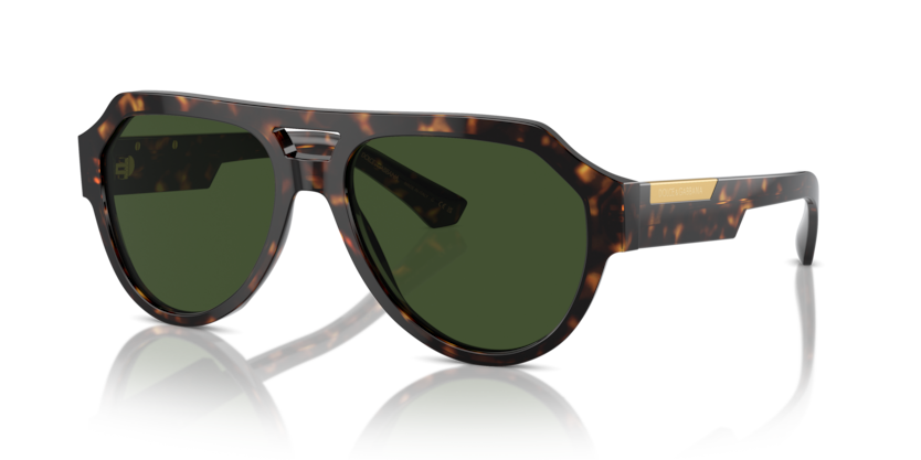 Dolce & Gabbana Sunglasses DG4466-502/71
