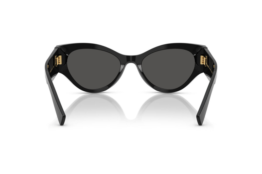 Dolce & Gabbana Sunglasses DG4480-501/87