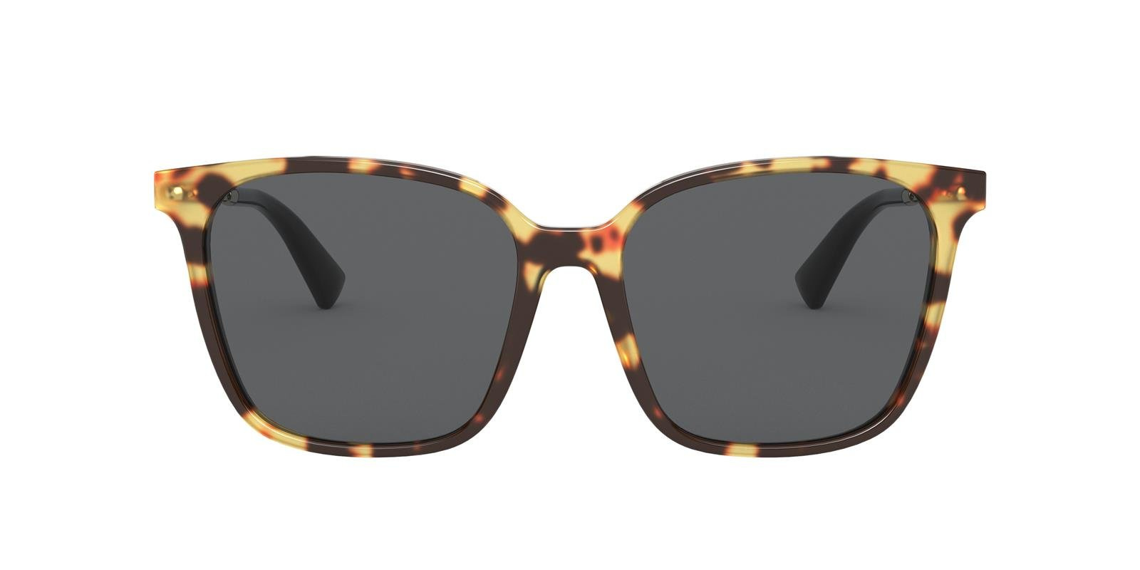 Valentino Sunglasses VA4078-503687