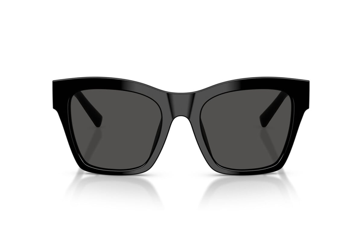 Dolce & Gabbana Sunglasses DG4512-501/87