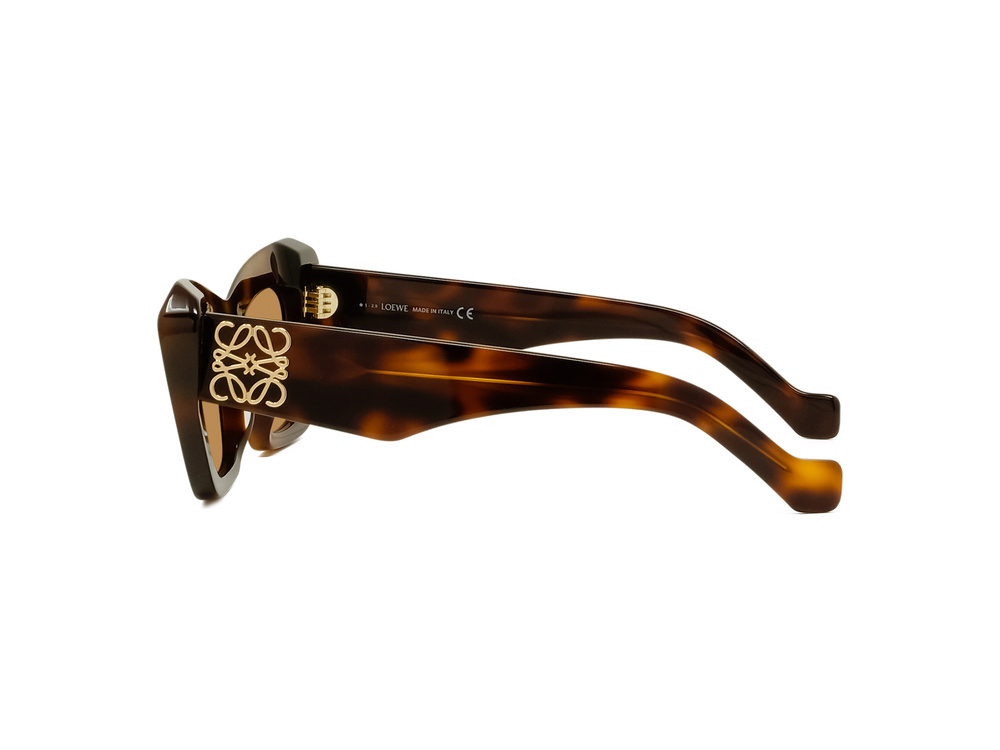 Loewe Sunglasses LW40036I-5153E