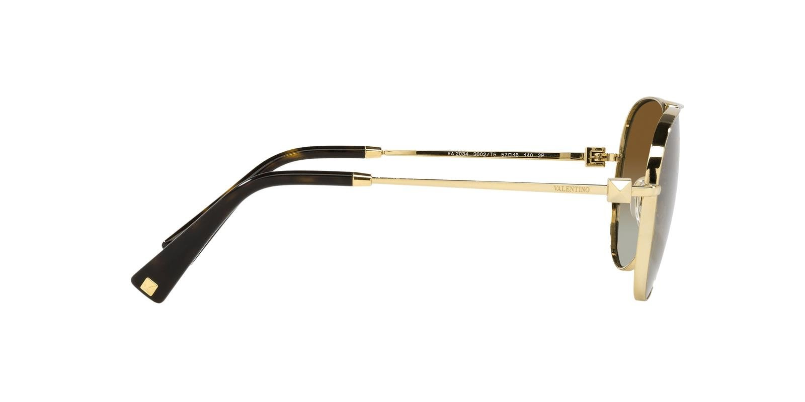 Valentino Sunglasses VA2034-3002T5