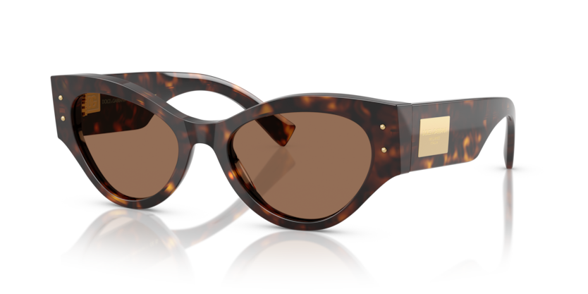 Dolce & Gabbana Sunglasses DG4480-502/73