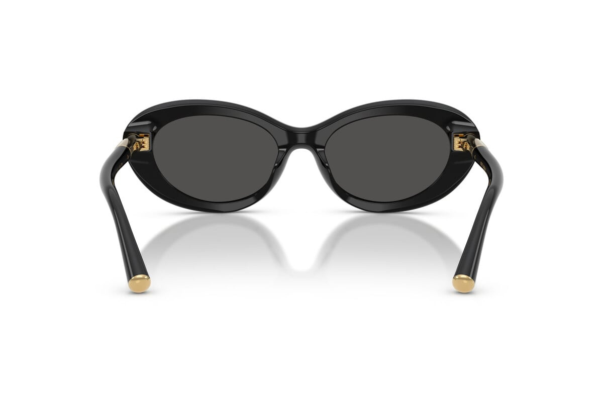 Dolce & Gabbana Sunglasses DG4519-501/87